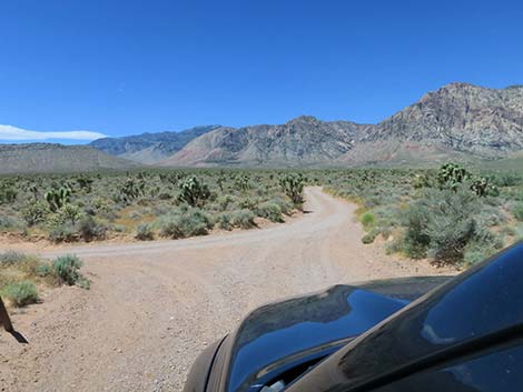 Lone Grapevine Road