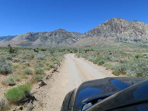 Lone Grapevine Road