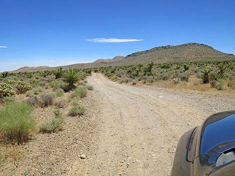 Lone Grapevine Road