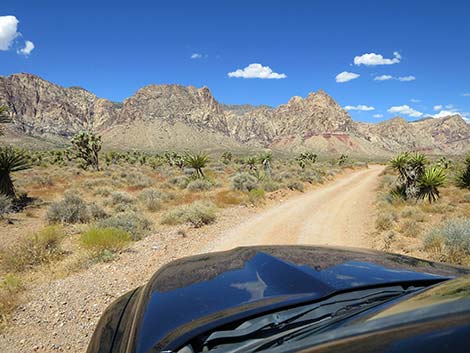 Lone Grapevine Road