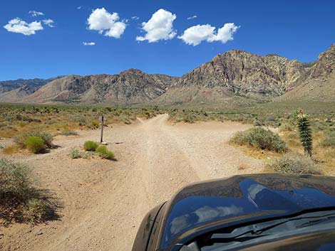 Lone Grapevine Road