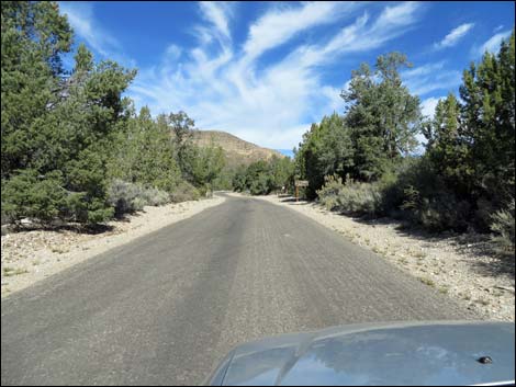 Lovell Canyon Road