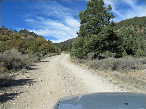 Lovell Canyon Road