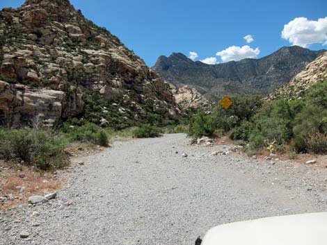 Rocky Gap Road