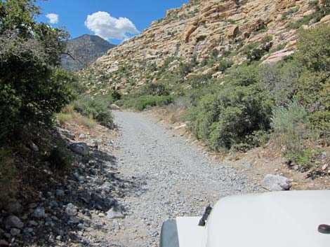 Rocky Gap Road