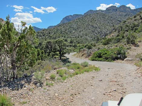 Rocky Gap Road