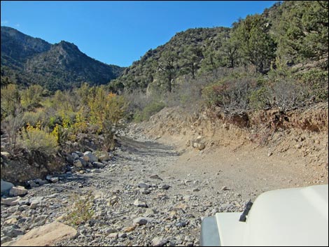 Rocky Gap Road