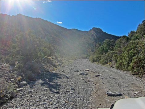 Rocky Gap Road