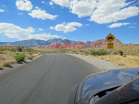 Scenic Loop Road