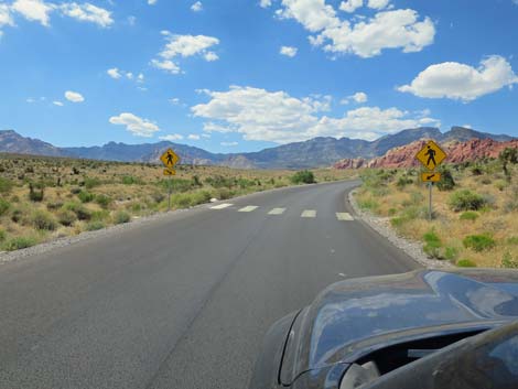 Scenic Loop Road