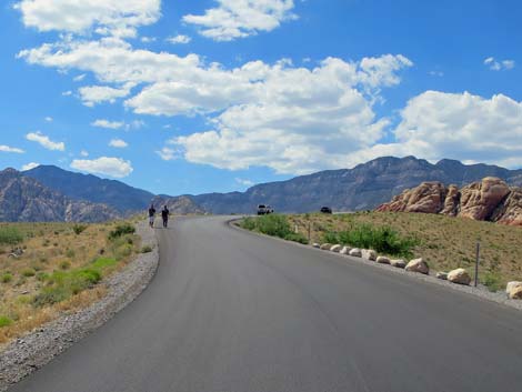 Scenic Loop Road