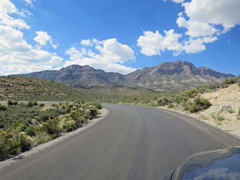 Scenic Loop Road