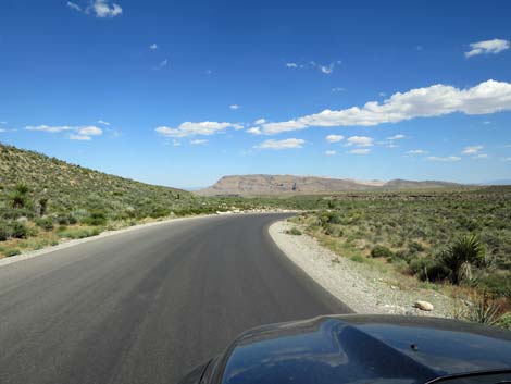 Scenic Loop Road