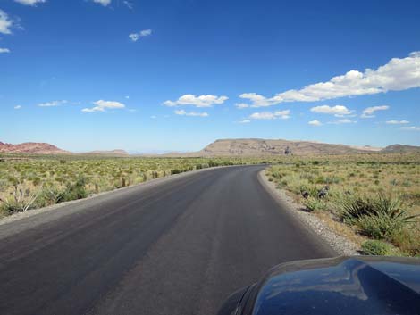 Scenic Loop Road