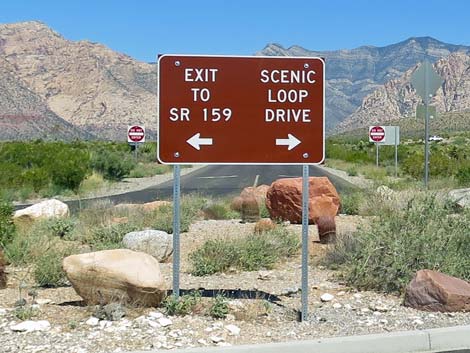 Scenic Loop Road