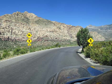 Scenic Loop Road