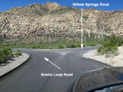 Scenic Loop Road