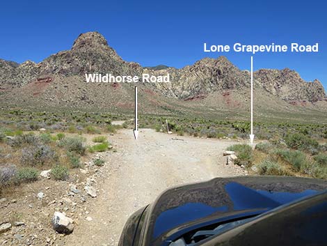 Wildhorse Road