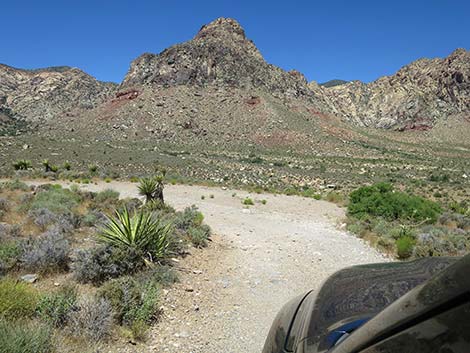 Lone Grapevine Trailhead