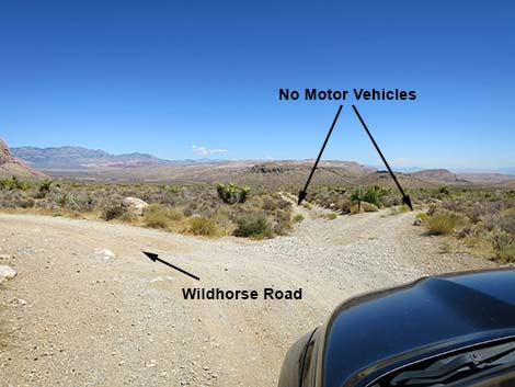 Wildhorse Road