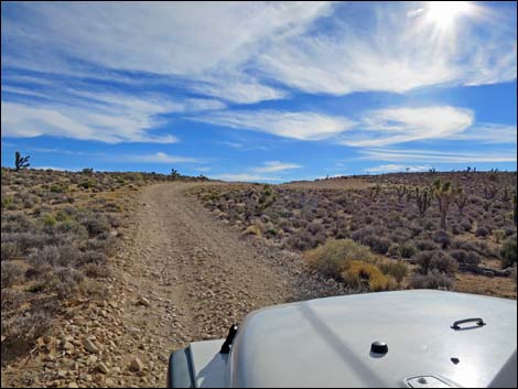 Wilson Tank Overlook Road