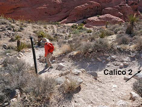 Calico Hills Trail - Sandstone Quarry to Calico 1