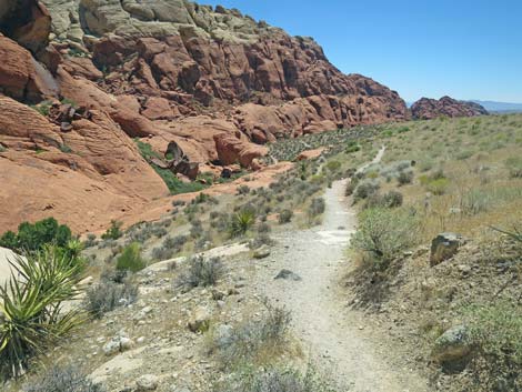 Calico Hills Trail - Sandstone Quarry to Calico 1