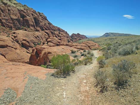 Calico Hills Trail - Sandstone Quarry to Calico 1