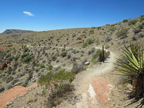 Calico Hills Trail - Sandstone Quarry to Calico 1