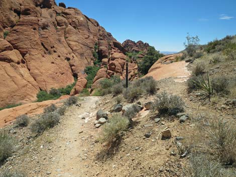 Calico Hills Trail - Sandstone Quarry to Calico 1