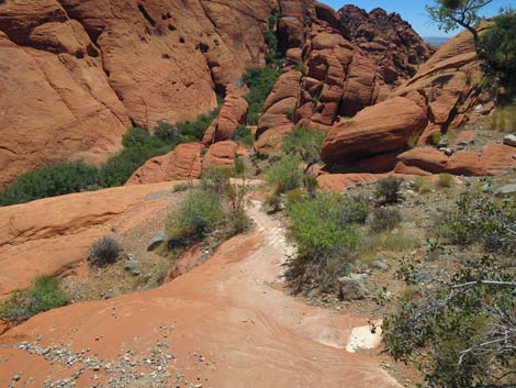 Calico Hills Trail - Sandstone Quarry to Calico 1