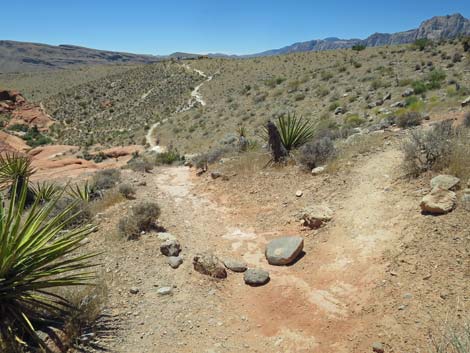 Calico Hills Trail - Sandstone Quarry to Calico 1