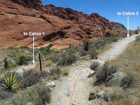 Calico Hills Trail - Sandstone Quarry to Calico 1