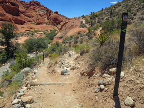 Calico Hills Trail - Sandstone Quarry to Calico 1