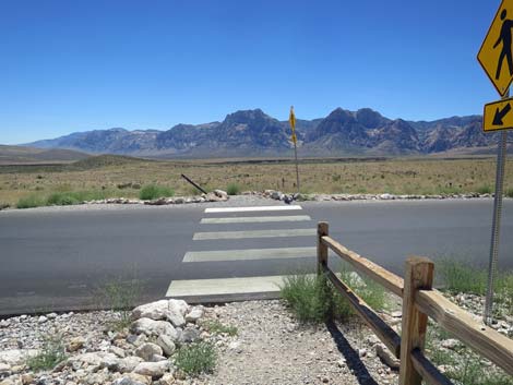 Calico 1 Trailhead