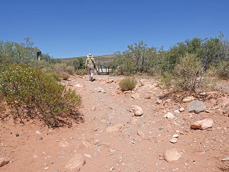 First Creek Trailhead