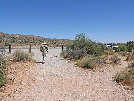 First Creek Trailhead
