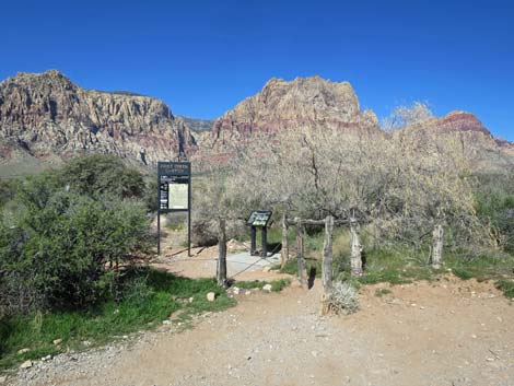 First Creek Canyon