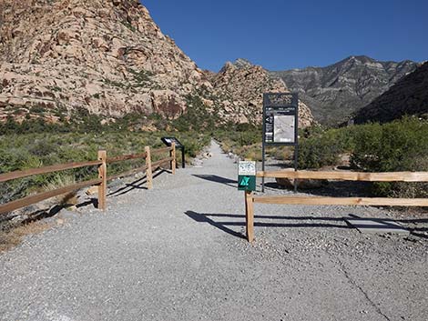 Children's Discovery Trailhead