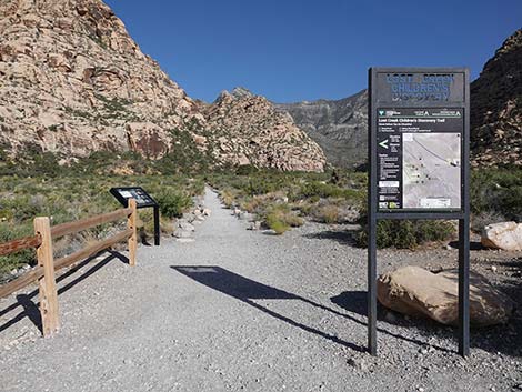 Children's Discovery Trailhead