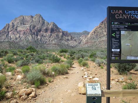 Parking at the end of Oak Creek Road (view S)