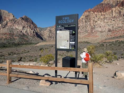 Pine Creek Trailhead