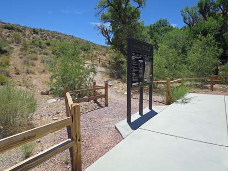 Calico Basin Overlook Trail