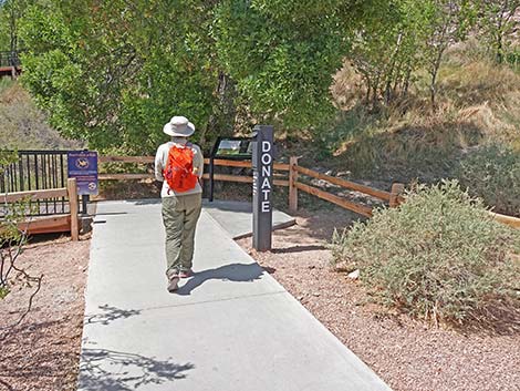 Red Spring Boardwalk