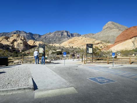 Calico Hills Loop Trail