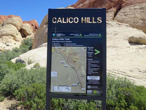 Calico Hills Trail - Sandstone Quarry to Calico 1