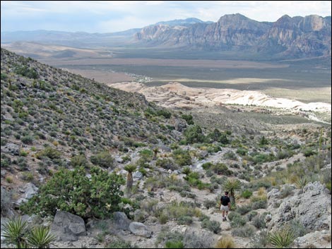 Turtlehead Peak