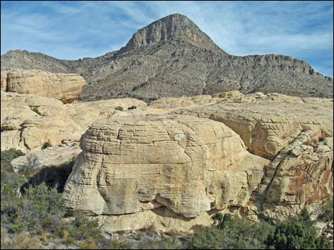 Turtlehead Peak