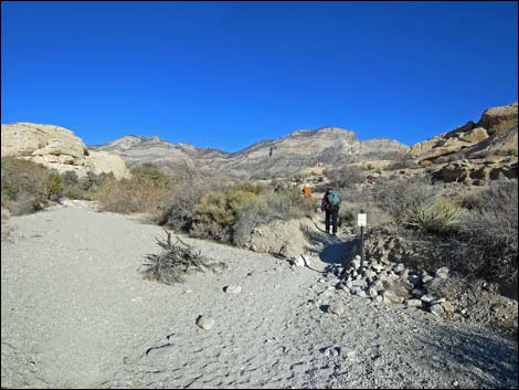 Turtlehead Peak