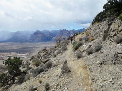 Turtlehead Mountain